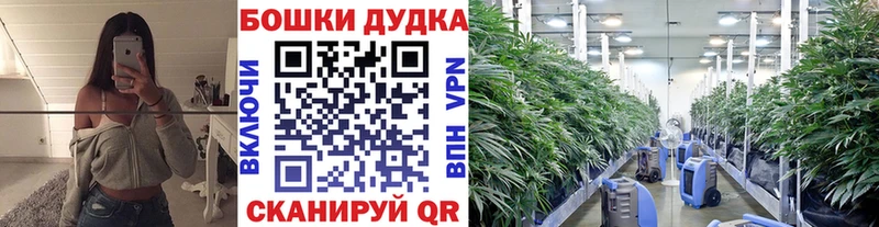 ЭКСТАЗИ Белозерск